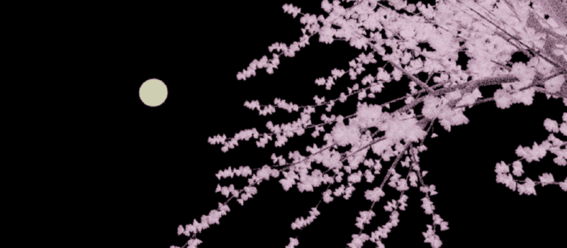 Blender 桜 3DCG モデリング 月夜 Sapling Tree gen アドオン